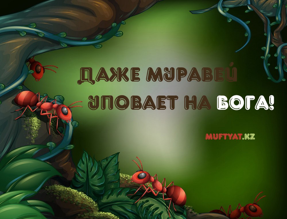 Привяжи меня - Глава 12 - Page 2 - Wattpad